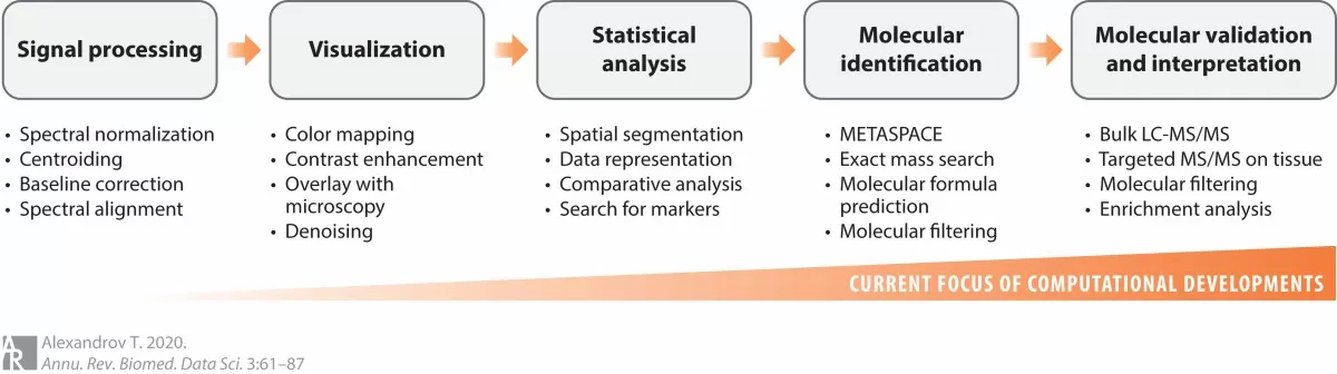 Steps of a typical data analysis workflow in imaging mass spectrometry (Alexandrov, 2020)